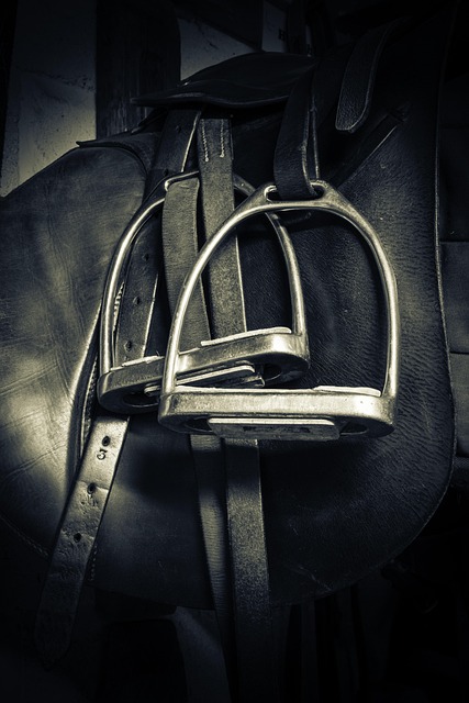 equestrian equipment