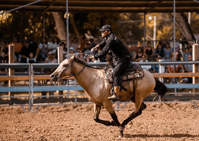 equestrian equipment