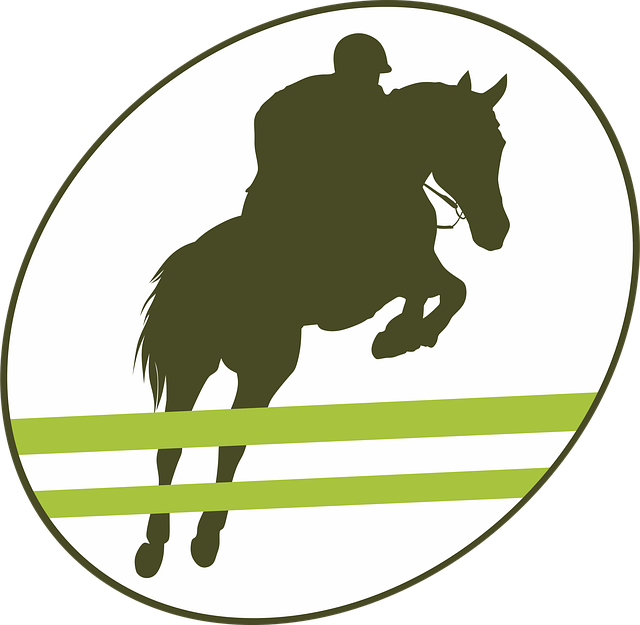 equestrian equipment