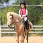 Mastering Show Attire: Equestrian Equipment & Styling Secrets