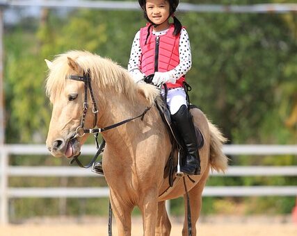 equestrian-equipment-640x480-61569769.jpeg