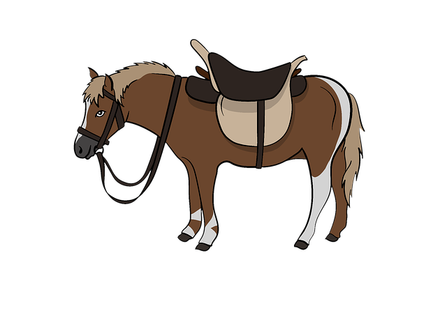 equestrian-equipment-640x480-63528804.png