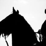 Miniature Horse Equipment: Essential Gear for Equestrian Owners
