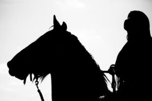 equestrian-equipment-640x480-65347812.jpeg