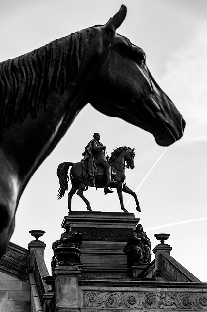 equestrian equipment