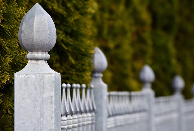 fencing equipment