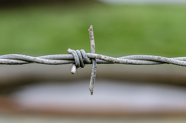 fencing equipment