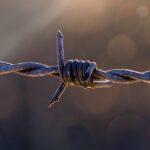 Fencing Foils: Prevent Rust, Prolong Metal Life