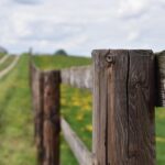 Durability Secrets: Steel vs Aluminum Fencing Foils