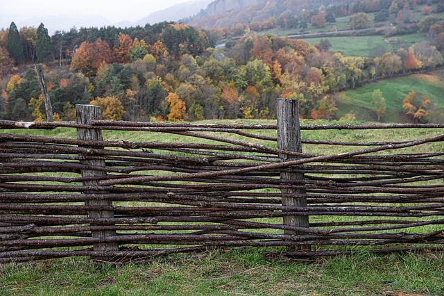 fencing foils