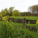 Fencing Foils: Signal Transfer, Strategy, and Technological Innovations