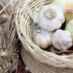 Flavoring Powders: Retail’s Innovation, Consumer Demands, and Future Trends
