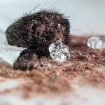 Crafting Flavor Explosions: The Art of Seasoning Blends