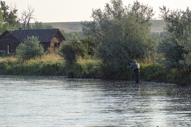 fly fishing flies