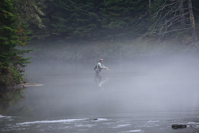 fly fishing flies