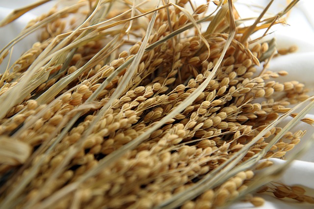 high fiber cereals