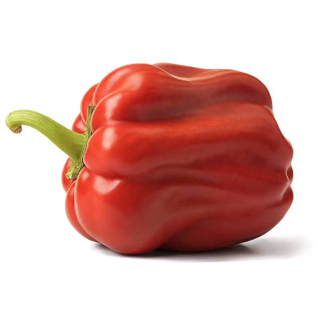 jalapenos peppers