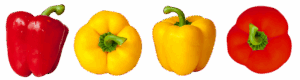 jalapenos-peppers-640x480-59079827.png
