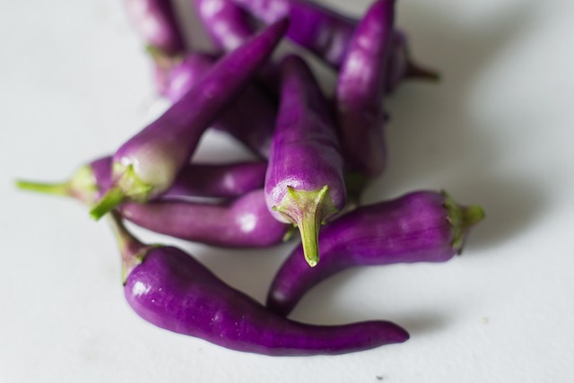 jalapenos peppers