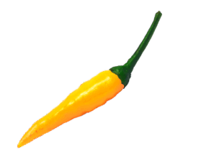 jalapenos-peppers-640x480-94687463.png