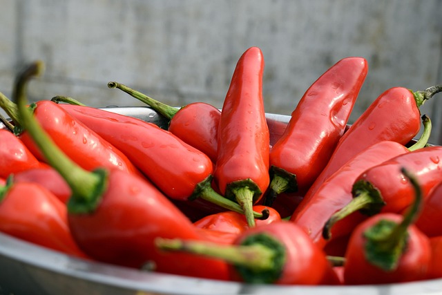 jalapenos peppers