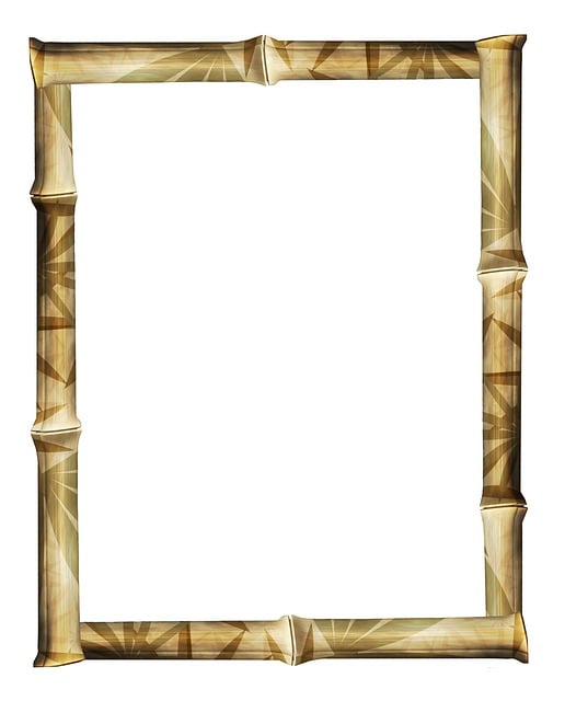 license plate frames