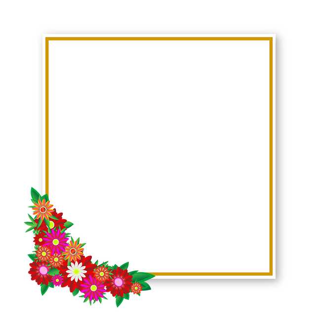 license plate frames