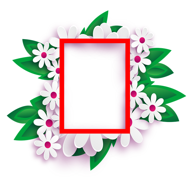 license plate frames