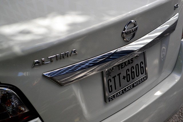 license plate frames