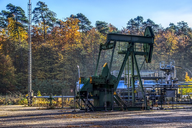 oil dispensing oil sprayers