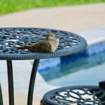 Transforming Outdoor Spaces: Smart Integration for Fire Tables