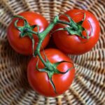 Sorting Methods: From Basics to Advanced Timsort Optimization
