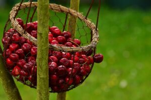 pegboard-baskets-640x480-94272215.jpeg