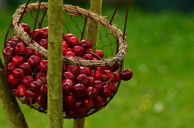 pegboard-baskets-640x480-94272215.jpeg