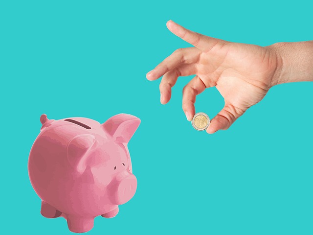 personal finance software