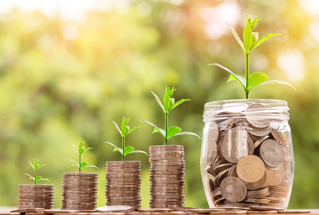 personal finance software