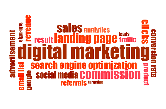 search engine optimization