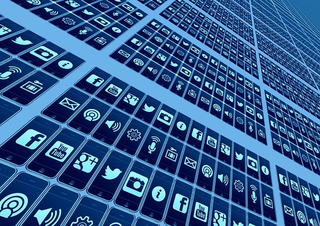 social media management