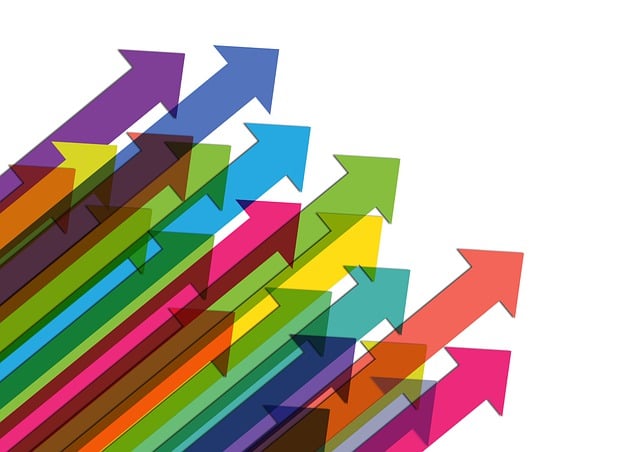 social media management