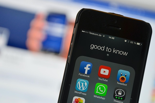 social media management