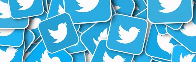 social media management
