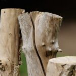 Protecting Portland’s Pipes: Grinding, Conservation, Future Trends