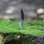 Portland OR Stump Grinding: Quick, Safe Tree Stump Removal Tips