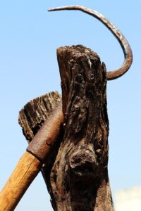 stump-grinding-640x480-15049487.jpeg