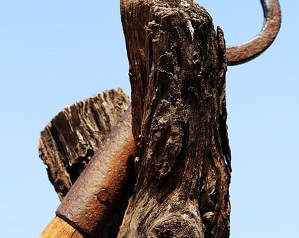 stump-grinding-640x480-15049487.jpeg