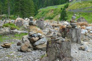 stump-grinding-640x480-28345333.jpeg