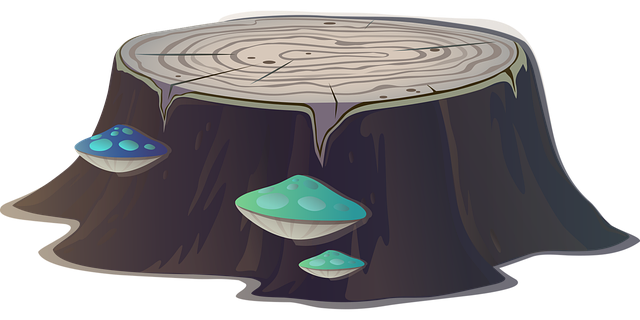 stump-grinding-640x480-41241273.png