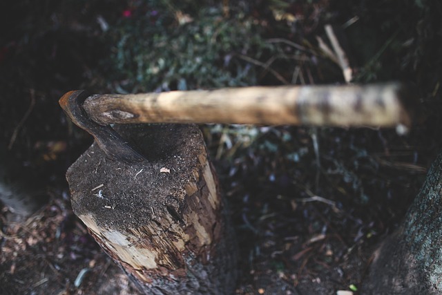 stump grinding