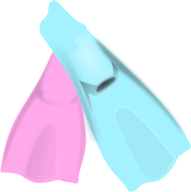 swimming equipment