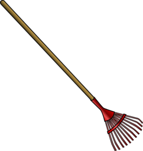 tree-removal-640x480-97532491.png